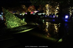 fotografie-153