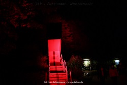 fotografie-157
