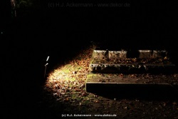 fotografie-51