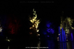 fotografie-38