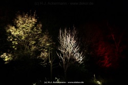 fotografie-56