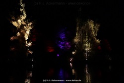 fotografie-41