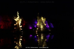 fotografie-9