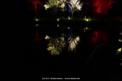 fotografie-108