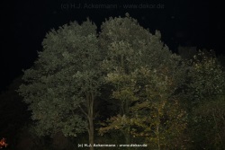 fotografie-196