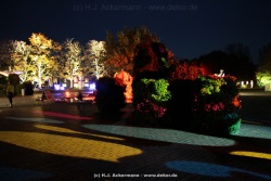fotografie-14