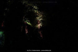 fotografie-176