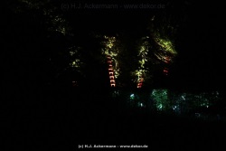 fotografie-133