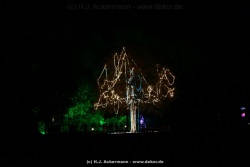 fotografie-163