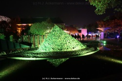fotografie-17