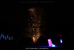 fotografie-173