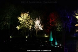 fotografie-4