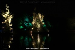 fotografie-107