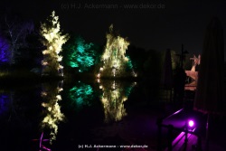 fotografie-15