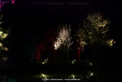 fotografie-39