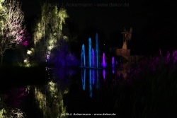 fotografie-20