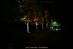 fotografie-197