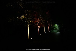 fotografie-158