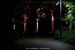 fotografie-106