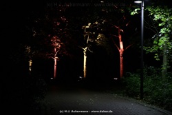 fotografie-60
