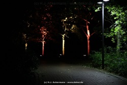 fotografie-99