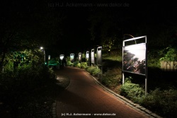 fotografie-104