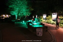 fotografie-55