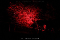 fotografie-9