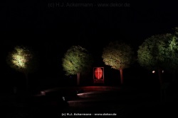 fotografie-6