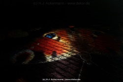 fotografie-15