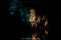 fotografie-30