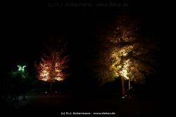 fotografie-32