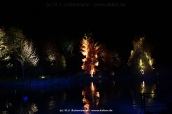 fotografie-39
