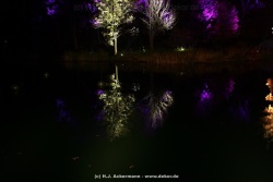 fotografie-41