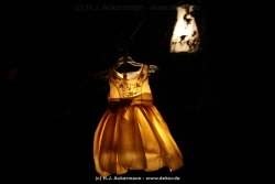 fotografie-47