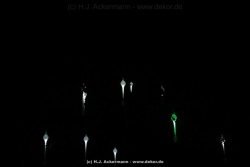 fotografie-51
