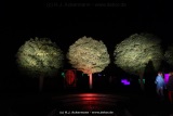 fotografie-6