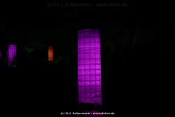 fotografie-41