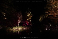 fotografie-54