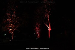 fotografie-6