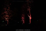 fotografie-6