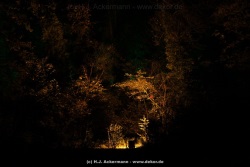 fotografie-26