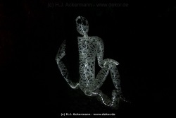 fotografie-27