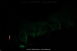fotografie-29