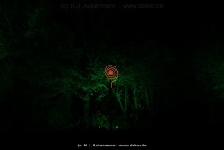 fotografie-30