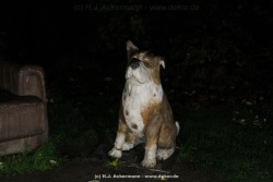 fotografie-33