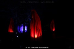 fotografie-37