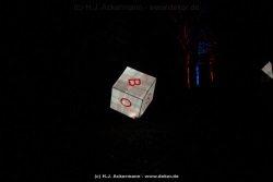fotografie-66