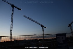 fotografie-6