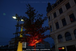 fotografie-23